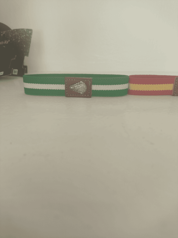 Pulseras elásticas virgen del Rocío disponible 3 colores - Imagen 3